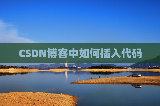 CSDN博客中如何插入代码
